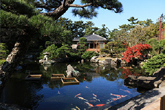 葉山しおさい公園(ホームより約850m)