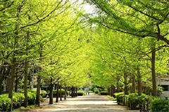 南郷上ノ山公園(ホームより約4,700m)