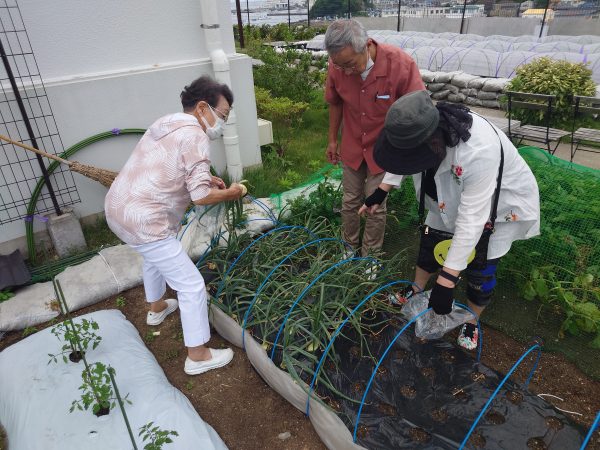 いよいよ明日から